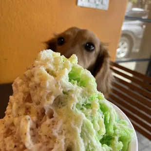 a dog looking over a bowl of ice cream