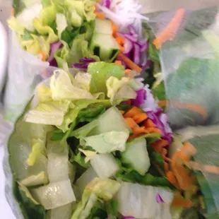 Vegetable Spring Roll