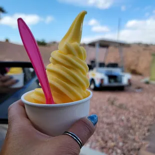 a person holding a cup of ice cream