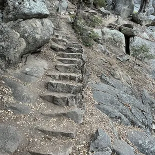 Stone steps help with climbing the steep slope.