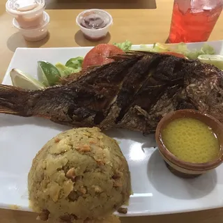 Red Snapper