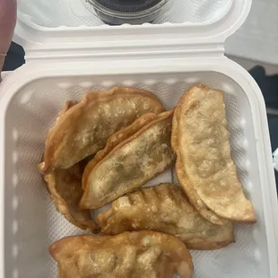 &quot; Vegetable &quot; dumplings fried