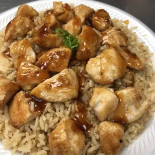 a plate of chicken and rice