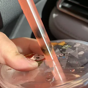 Moldy boba?