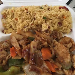 Lunch special- chicken with garlic sauce