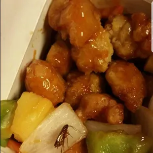 Cockroach found in food!!! Related review is below!!! I can&apos;t believe the servers and managers reaction to what happened....