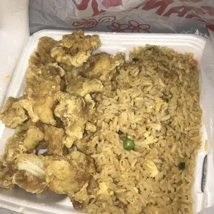 Ordered orange chicken w/ no sauce. They said this is what it looks like without the sauce.
