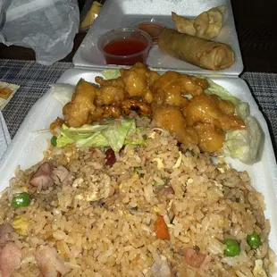 Personal dinner Honey Walnut Shrimp BBQ Pork Fried Rice