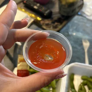 Vegetable spring Roll dip