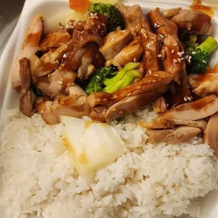 Teriyaki bento box