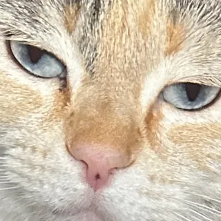 Maggie R.