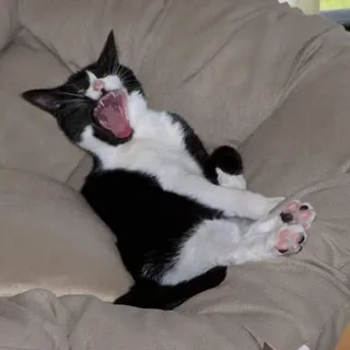 L R.