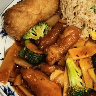 Close-up, Empress Chicken, Lunch Portion.