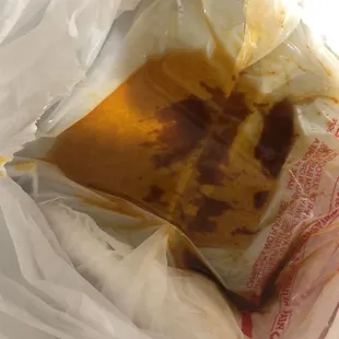 Leakage in bottom of bag every time gets all over bottom of container