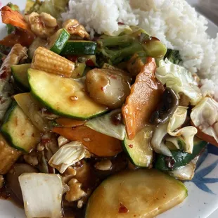 Chicken and vegetables with brown sauce.