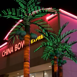 Beautiful Palm trees