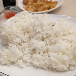Huge plate of rice for 2+