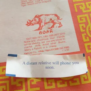 The first actual fortune I have seen in a Chinese fortune cookie in a decade. It came true two weeks later.