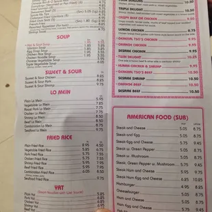 a hand holding a menu