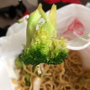 Vegetable Delight with Broccoli and Cabbage Only