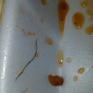 You tell me? Disgruntled worker or just plain filthy?