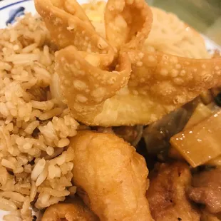 a plate of food with rice and meat