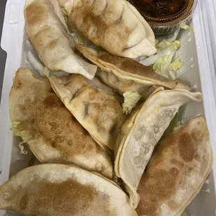 Pan fried dumpling