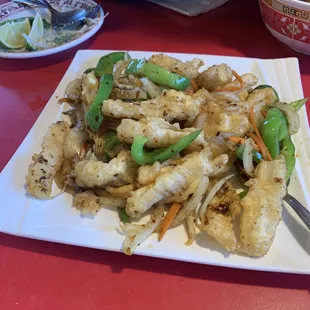 Salty and spicy squid