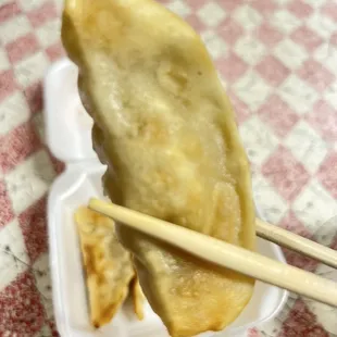 Pan fried dumplings