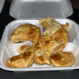 Pan Fried Dumpling