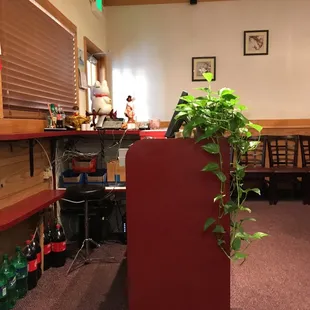 a plant growing out of a red box