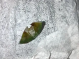 Golden Wok Chinese Buffet