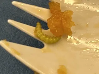 China Buffet