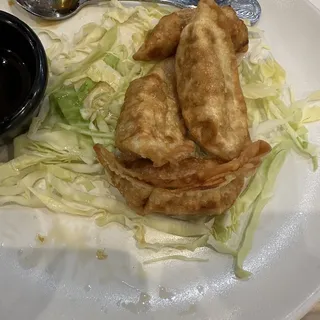 Fried Chicken Dumpling