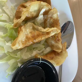 Pan Fried Pork Dumpling