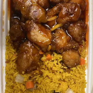 chicken and rice in a styrofoam container