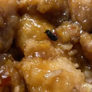 I ordered orange chicken and this fly was in my food. Not pleased.