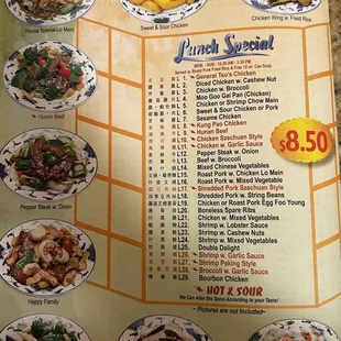 Back of menu- Lunch Specials