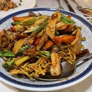 Dynasty Special Pan Fried Noodles