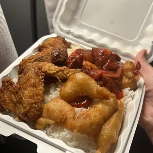 A2. Chicken Wings, Boneless Spare Ribs, Fried Wonton and Chicken Fingers Combo with White Rice