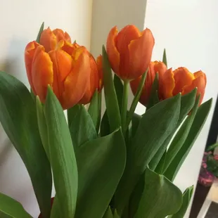 a vase of orange tulips