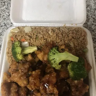 General TSO with chicken fried rice (lunch plate)