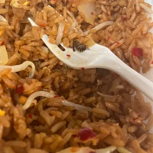 Found portions of a bug in my food. Unsanitary establishment and they should be reported for health code violations.