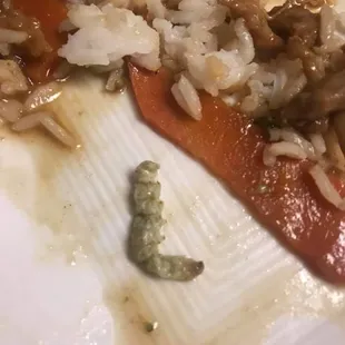 In the photo is a bug! NASTY