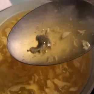 a spoon full of soup