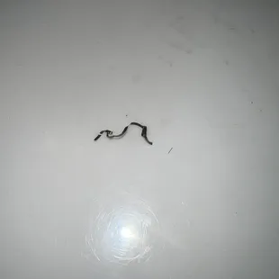 Metal piece found in Pepper Steak with Onion Combo Platter.