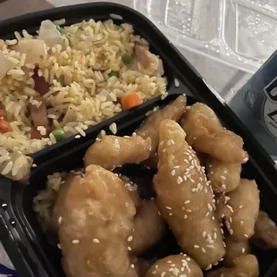 chicken and rice in a plastic container