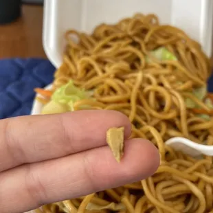 Found this piece of  bone in my chow Mien