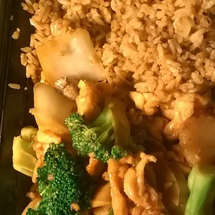 Shrimp and chicken in brown sauce.