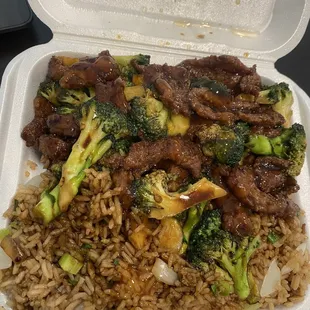 Beef and Beef with Broccoli